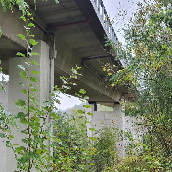 Viadotto Biestro – direz. Torino (A6)